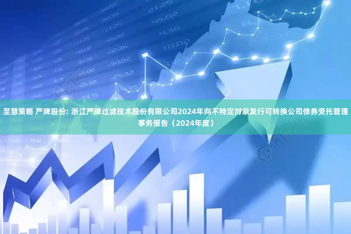 至慧策略 严牌股份: 浙江严牌过滤技术股份有限公司2024年向不特定对象发行可转换公司债券受托管理事务报告（2024年度）