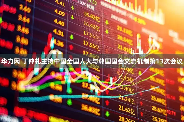 华力网 丁仲礼主持中国全国人大与韩国国会交流机制第13次会议