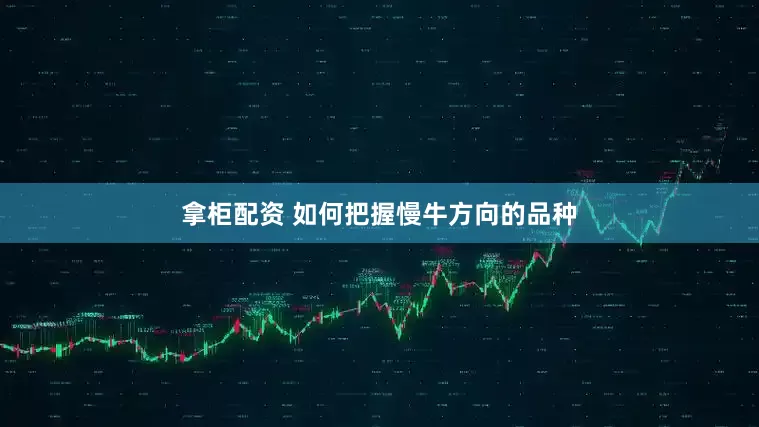 拿柜配资 如何把握慢牛方向的品种