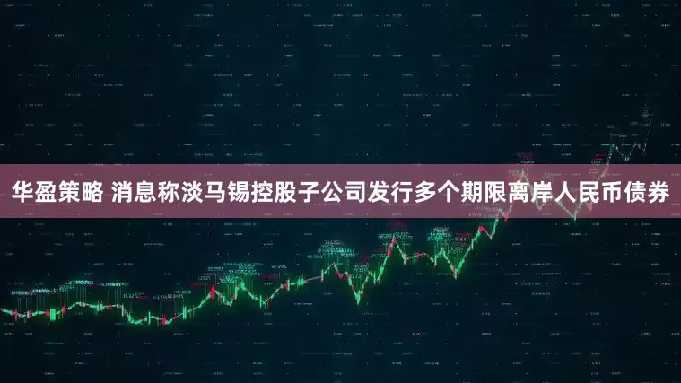 华盈策略 消息称淡马锡控股子公司发行多个期限离岸人民币债券