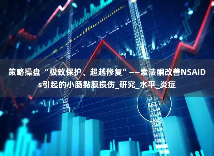 策略操盘 “极致保护、超越修复”——索法酮改善NSAIDs引起的小肠黏膜损伤_研究_水平_炎症