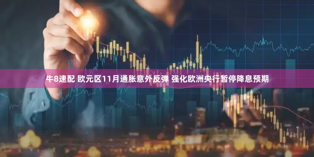 牛8速配 欧元区11月通胀意外反弹 强化欧洲央行暂停降息预期